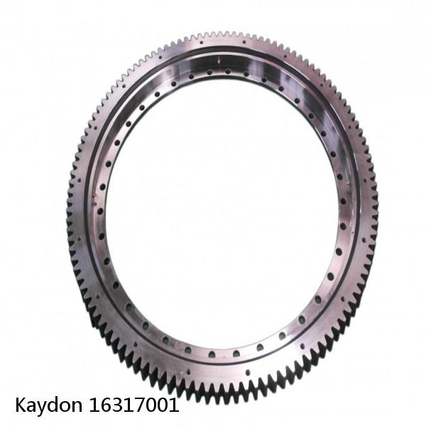 16317001 Kaydon Slewing Ring Bearings