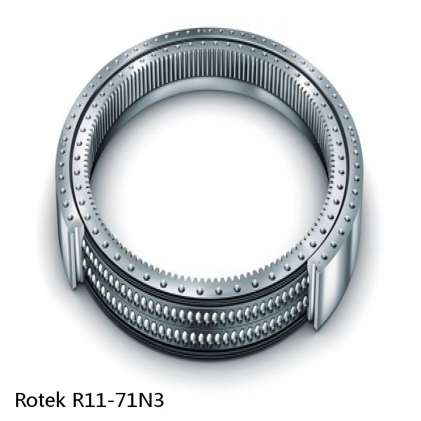 R11-71N3 Rotek Slewing Ring Bearings