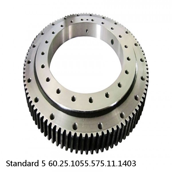 60.25.1055.575.11.1403 Standard 5 Slewing Ring Bearings