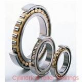 2.559 Inch | 65 Millimeter x 4.724 Inch | 120 Millimeter x 1.22 Inch | 31 Millimeter  SKF NJ 2213 ECP/C4  Cylindrical Roller Bearings