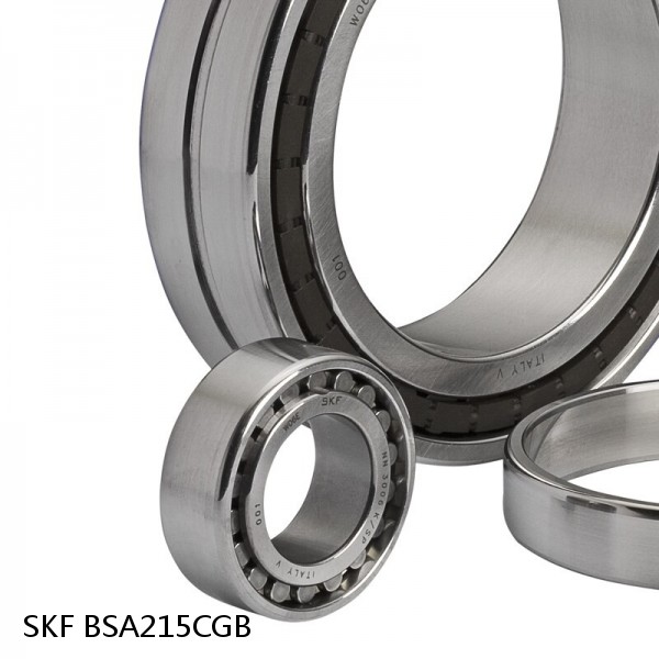 BSA215CGB SKF Brands,All Brands,SKF,Super Precision Angular Contact Thrust,BSA