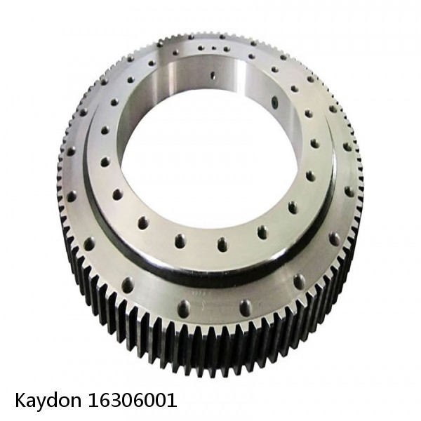 16306001 Kaydon Slewing Ring Bearings