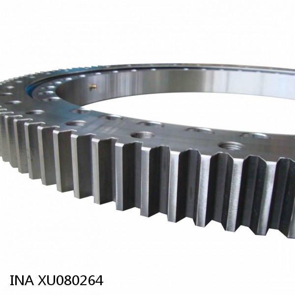 XU080264 INA Slewing Ring Bearings