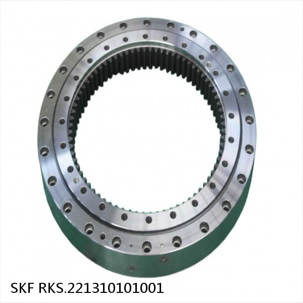 RKS.221310101001 SKF Slewing Ring Bearings