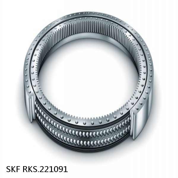 RKS.221091 SKF Slewing Ring Bearings