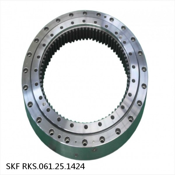 RKS.061.25.1424 SKF Slewing Ring Bearings