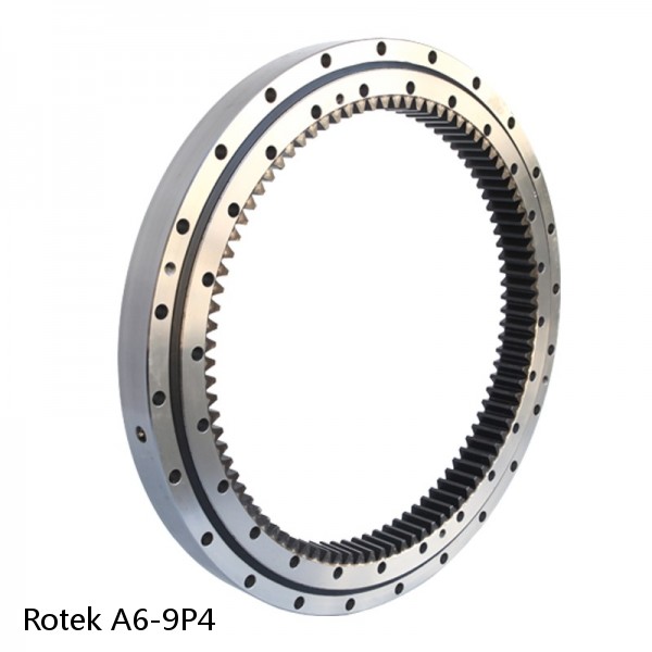 A6-9P4 Rotek Slewing Ring Bearings