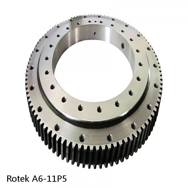 A6-11P5 Rotek Slewing Ring Bearings