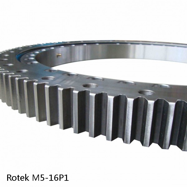 M5-16P1 Rotek Slewing Ring Bearings