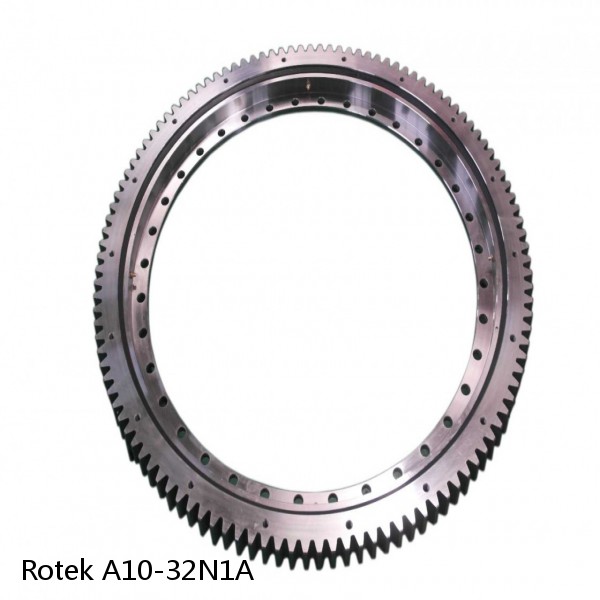 A10-32N1A Rotek Slewing Ring Bearings