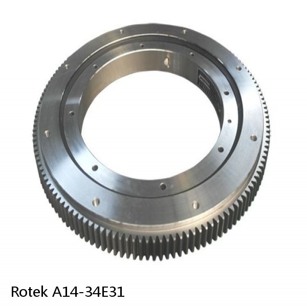 A14-34E31 Rotek Slewing Ring Bearings