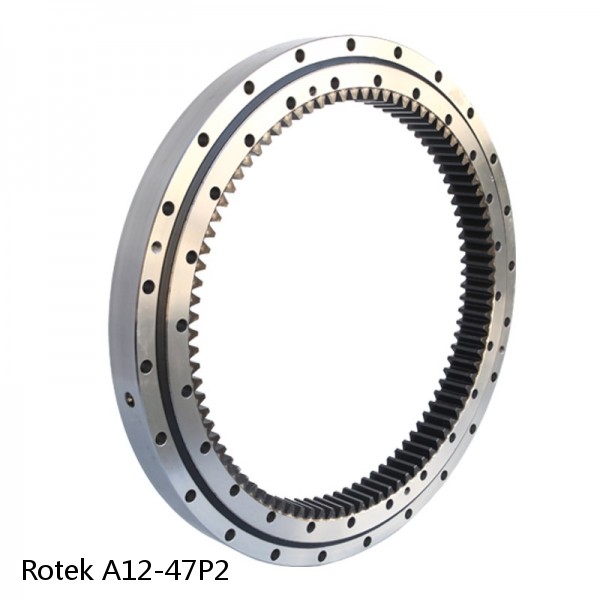 A12-47P2 Rotek Slewing Ring Bearings