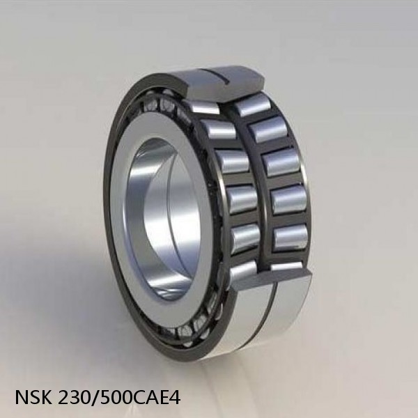 230/500CAE4 NSK Spherical Roller Bearing