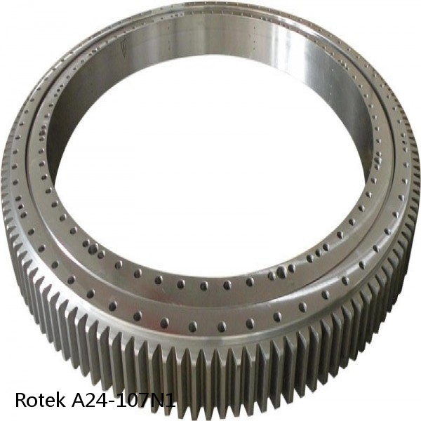 A24-107N1 Rotek Slewing Ring Bearings