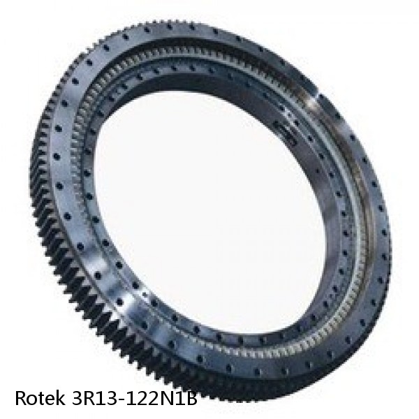 3R13-122N1B Rotek Slewing Ring Bearings