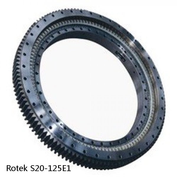 S20-125E1 Rotek Slewing Ring Bearings