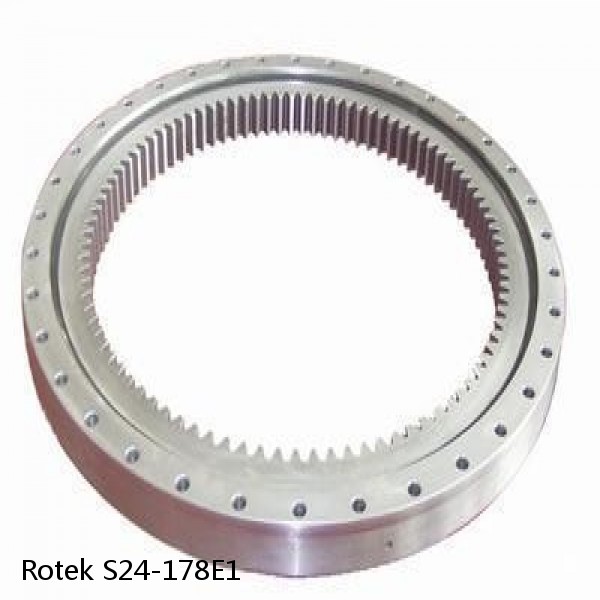 S24-178E1 Rotek Slewing Ring Bearings