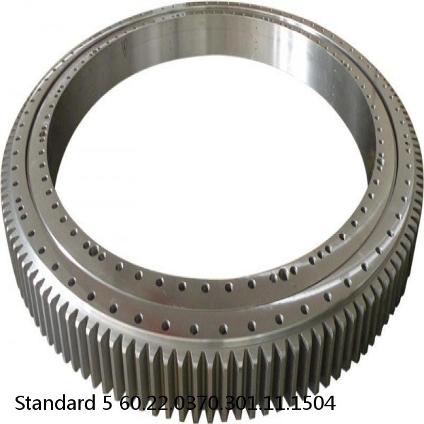 60.22.0370.301.11.1504 Standard 5 Slewing Ring Bearings