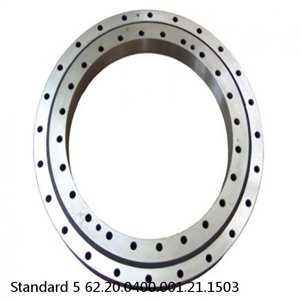 62.20.0400.001.21.1503 Standard 5 Slewing Ring Bearings