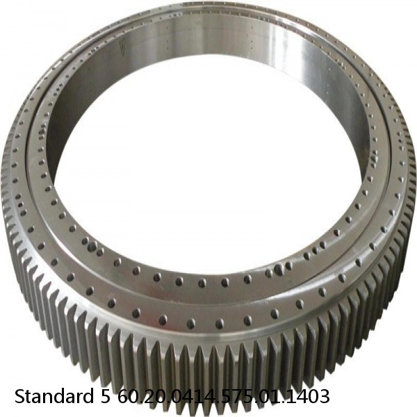 60.20.0414.575.01.1403 Standard 5 Slewing Ring Bearings