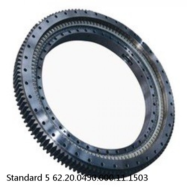 62.20.0450.000.11.1503 Standard 5 Slewing Ring Bearings