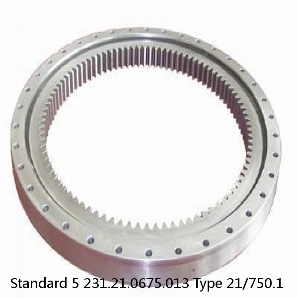 231.21.0675.013 Type 21/750.1 Standard 5 Slewing Ring Bearings