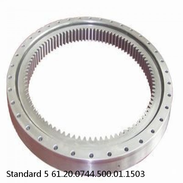 61.20.0744.500.01.1503 Standard 5 Slewing Ring Bearings