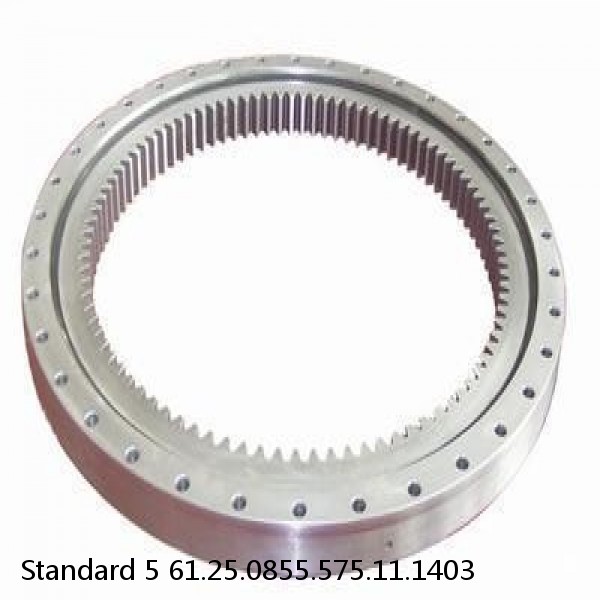 61.25.0855.575.11.1403 Standard 5 Slewing Ring Bearings